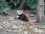 DSCN5173