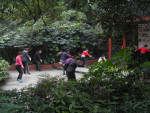 DSCN5301
