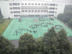 DSCN5133