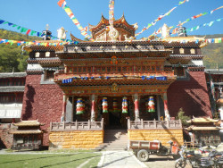 DSCN5656