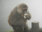DSCN5495