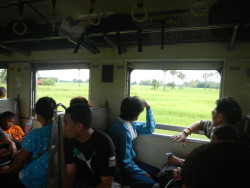 DSCN0248