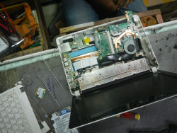 DSCN5799