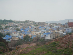 DSCN5735