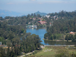DSCN2529