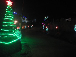 DSCN1637