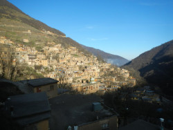 DSCN6770