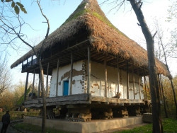 DSCN6846