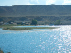 DSCN1774