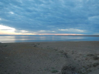 DSCN3513