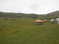 DSCN3743