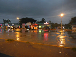 DSCN1398