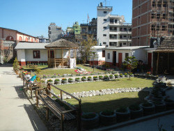 DSCN1837