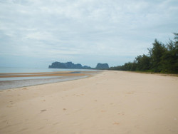 DSCN9599