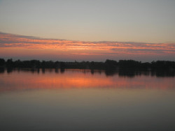 DSCN8448