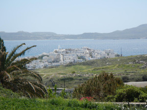 DSCN0454